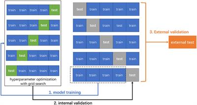 Machine Learning-Based Model for Predicting Incidence and Severity of Acute Ischemic Stroke in Anterior Circulation Large Vessel Occlusion